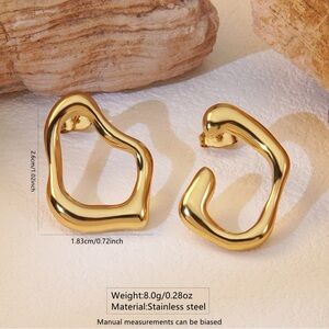 Gold Stainless Steel Earrings